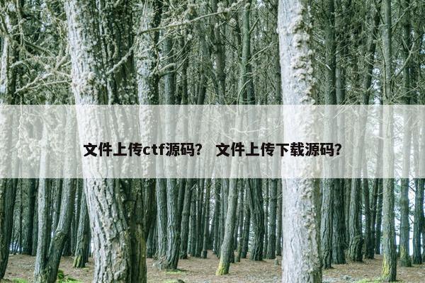 文件上传ctf源码？ 文件上传下载源码？