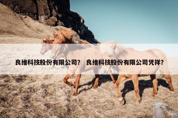 良维科技股份有限公司？ 良维科技股份有限公司凭祥？