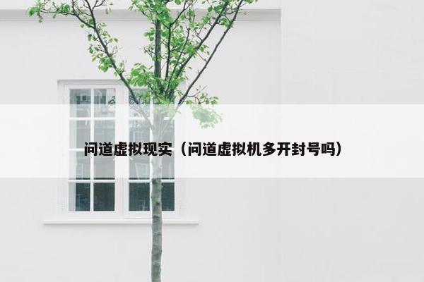 问道虚拟现实（问道虚拟机多开封号吗）