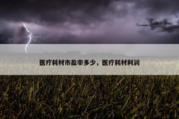 医疗耗材市盈率多少，医疗耗材利润
