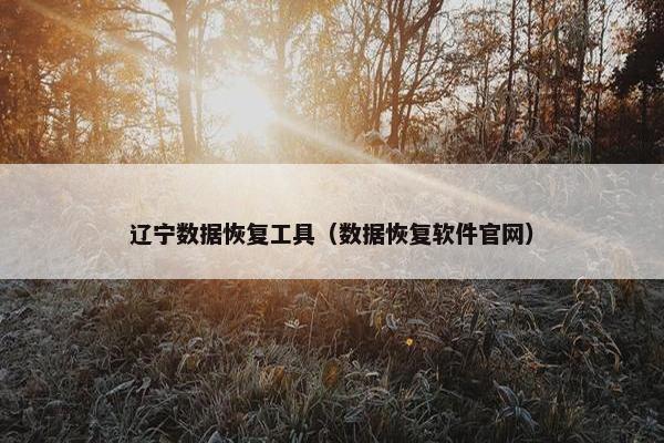 辽宁数据恢复工具（数据恢复软件官网）