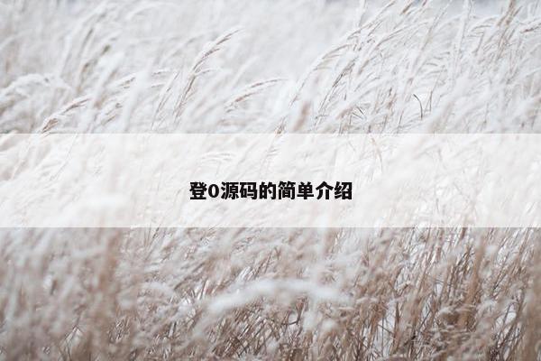 登0源码的简单介绍