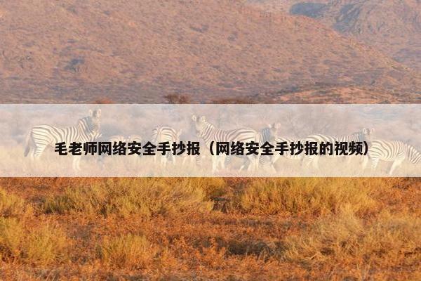 毛老师网络安全手抄报（网络安全手抄报的视频）