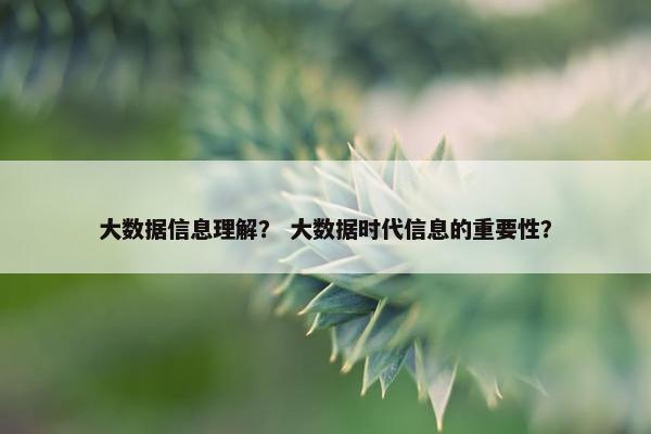 大数据信息理解？ 大数据时代信息的重要性？