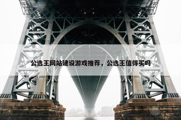公选王网站建设游戏推荐，公选王值得买吗