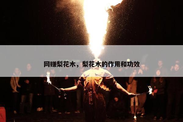 网赚梨花木，梨花木的作用和功效