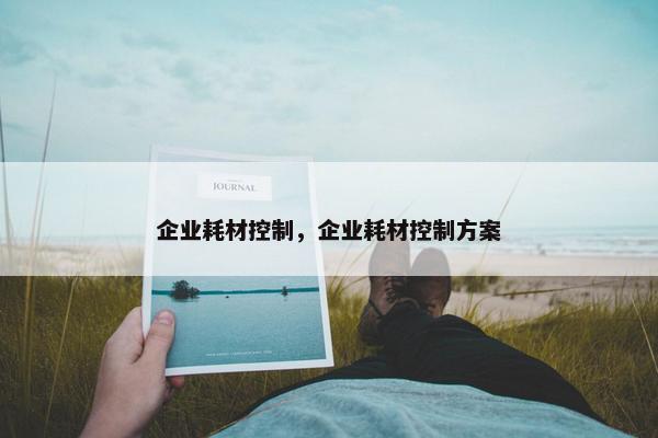 企业耗材控制，企业耗材控制方案