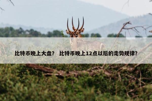 比特币晚上大盘？ 比特币晚上12点以后的走势规律？
