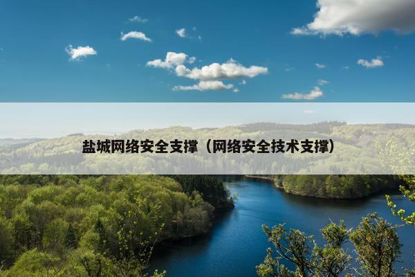 盐城网络安全支撑（网络安全技术支撑）
