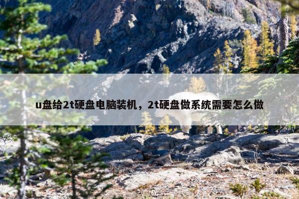 u盘给2t硬盘电脑装机，2t硬盘做系统需要怎么做