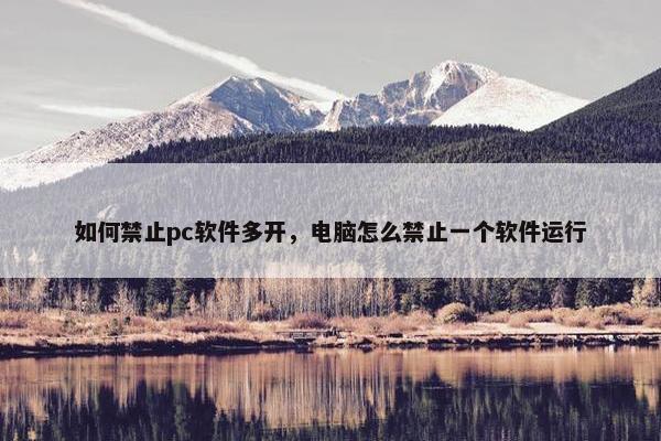 如何禁止pc软件多开，电脑怎么禁止一个软件运行