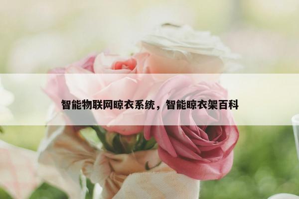 智能物联网晾衣系统，智能晾衣架百科