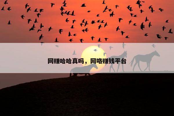 网赚哈哈真吗，网咯赚钱平台