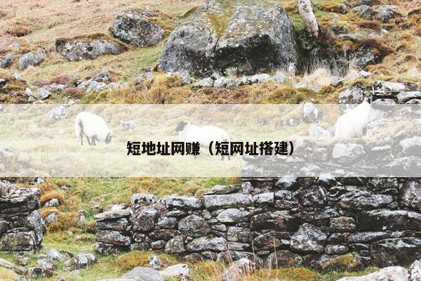 短地址网赚（短网址搭建）