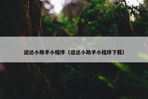 运达小助手小程序（运达小助手小程序下载）