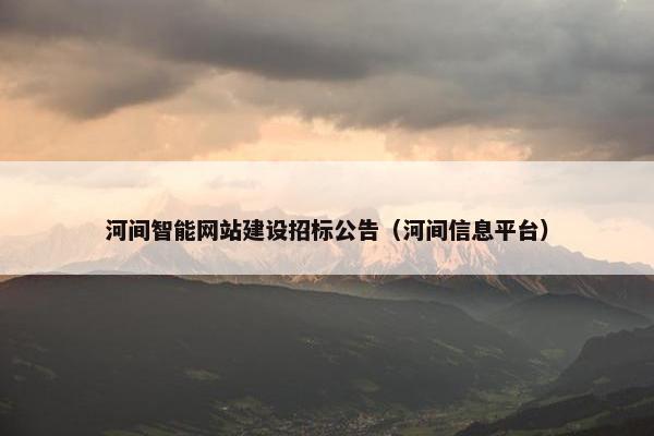 河间智能网站建设招标公告（河间信息平台）