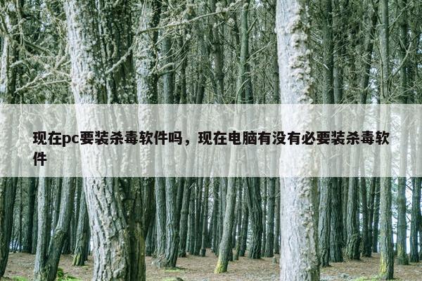 现在pc要装杀毒软件吗，现在电脑有没有必要装杀毒软件