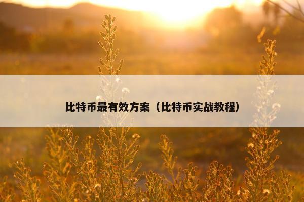 比特币最有效方案（比特币实战教程）