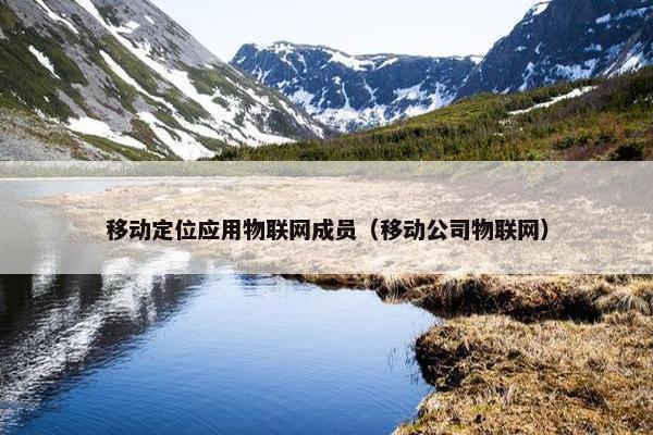 移动定位应用物联网成员（移动公司物联网）