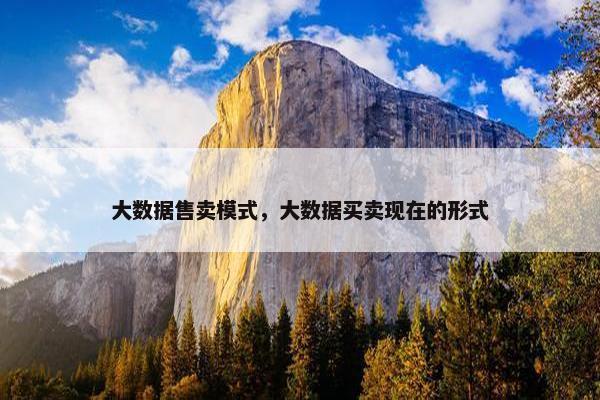 大数据售卖模式，大数据买卖现在的形式