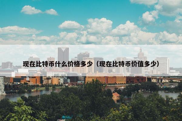 现在比特币什么价格多少（现在比特币价值多少）