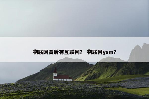 物联网背后有互联网？ 物联网ysm？