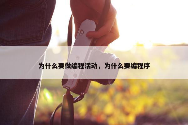 为什么要做编程活动，为什么要编程序