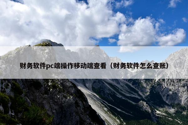 财务软件pc端操作移动端查看（财务软件怎么查账）