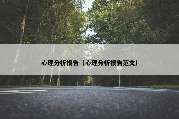 心理分析报告（心理分析报告范文）