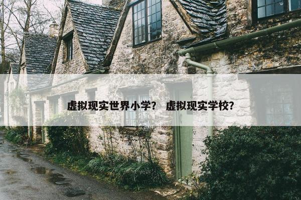 虚拟现实世界小学？ 虚拟现实学校？