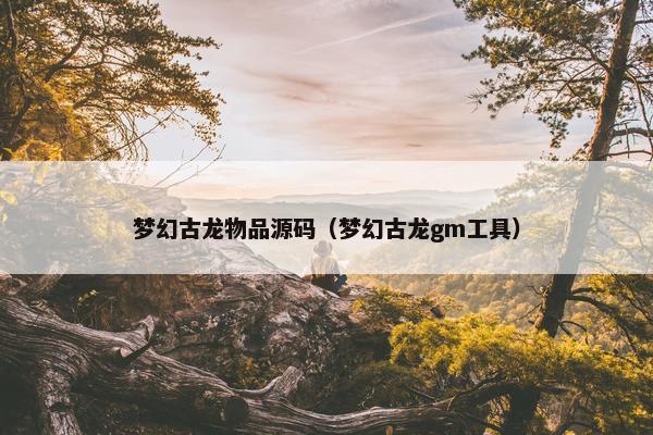 梦幻古龙物品源码(梦幻古龙gm工具) 梦幻古龙物品源码(梦幻古龙gm工具)