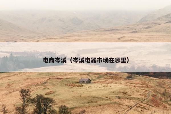 电商岑溪（岑溪电器市场在哪里）