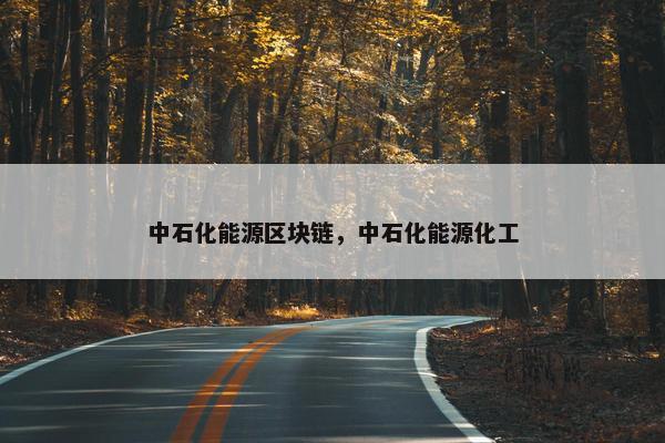 中石化能源区块链，中石化能源化工