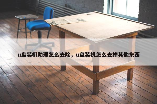 u盘装机助理怎么去除，u盘装机怎么去掉其他东西