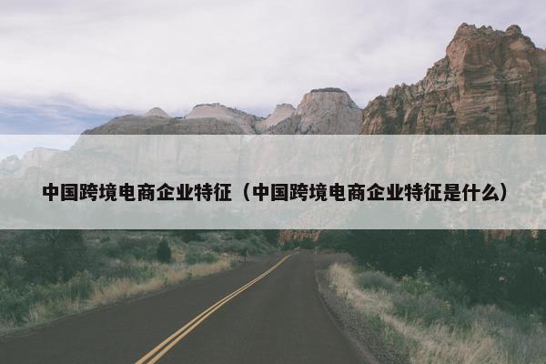 中国跨境电商企业特征（中国跨境电商企业特征是什么）