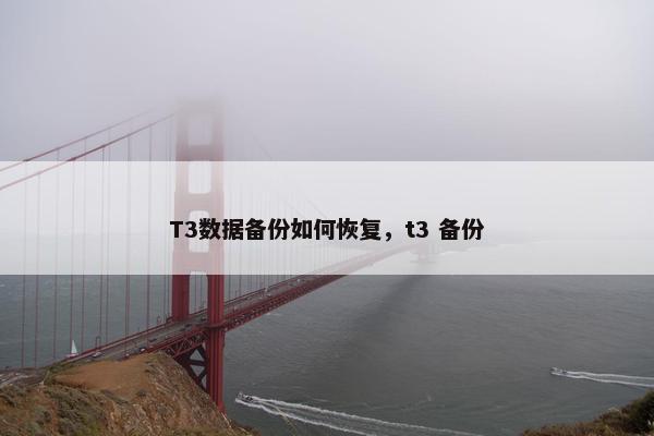 T3数据备份如何恢复，t3 备份