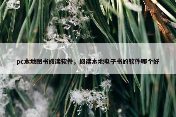 pc本地图书阅读软件，阅读本地电子书的软件哪个好