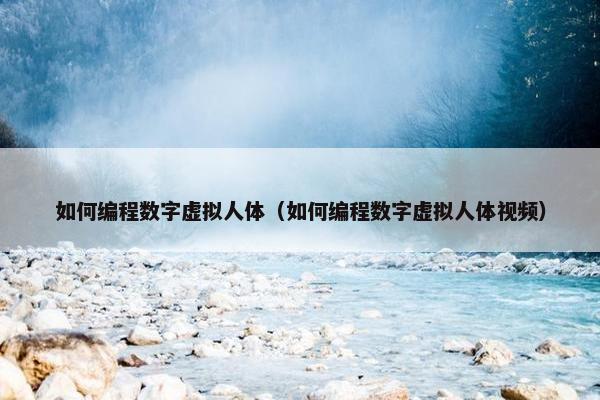如何编程数字虚拟人体（如何编程数字虚拟人体视频）