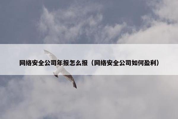 网络安全公司年报怎么报（网络安全公司如何盈利）