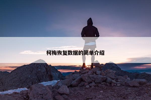 柯梅恢复数据的简单介绍