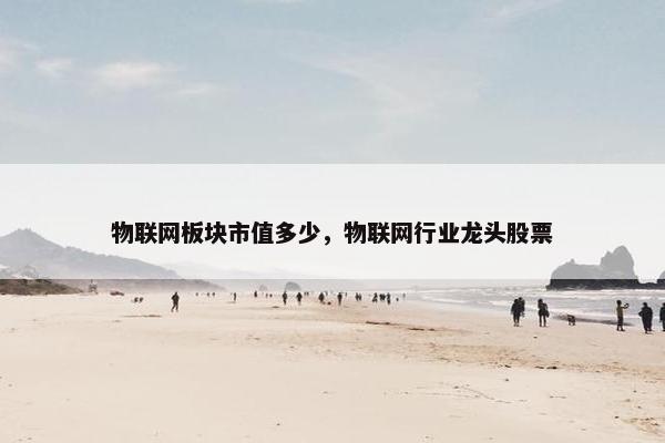 物联网板块市值多少，物联网行业龙头股票