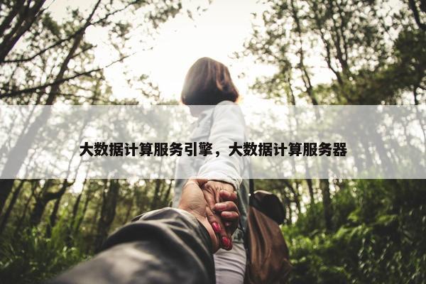 大数据计算服务引擎，大数据计算服务器
