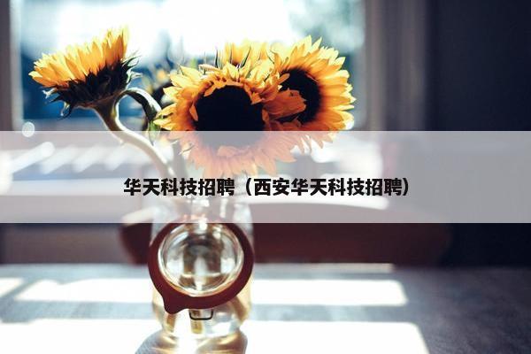 华天科技招聘（西安华天科技招聘）