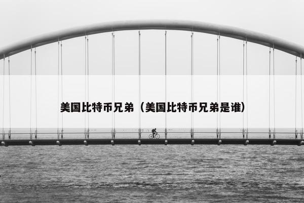 美国比特币兄弟（美国比特币兄弟是谁）