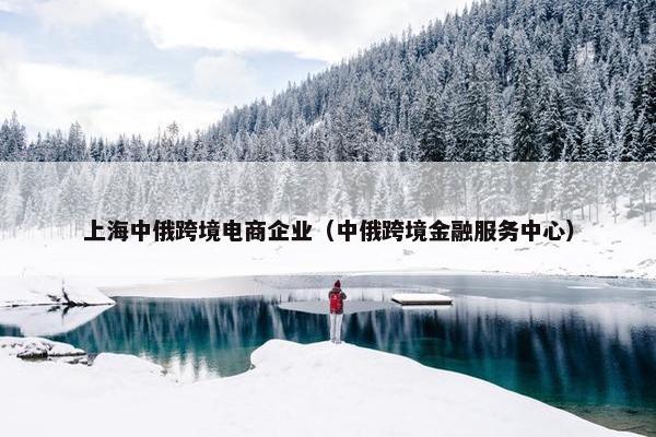 上海中俄跨境电商企业（中俄跨境金融服务中心）
