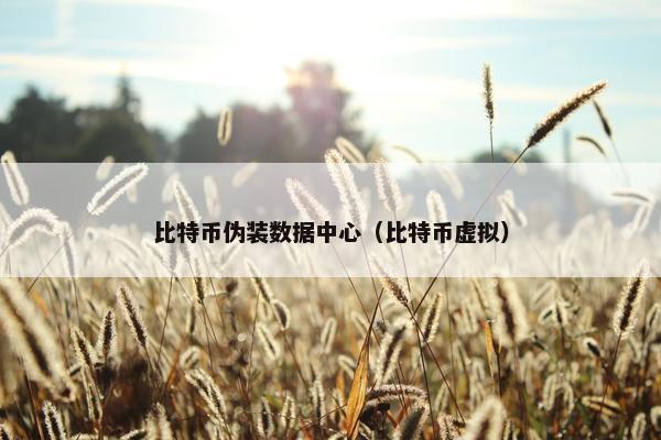 比特币伪装数据中心（比特币虚拟）