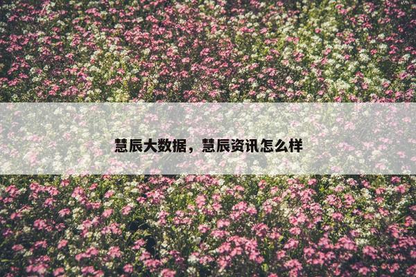 慧辰大数据，慧辰资讯怎么样
