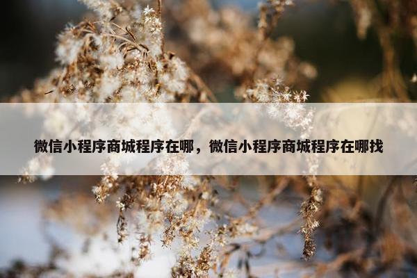 微信小程序商城程序在哪，微信小程序商城程序在哪找