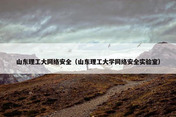 山东理工大网络安全（山东理工大学网络安全实验室）