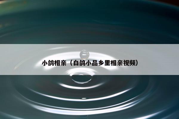 小鸽相亲（白鸽小品乡里相亲视频）
